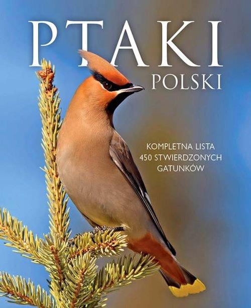 

Ptaki Polski w.2015 Sbm Dominik Marchowski Sbm