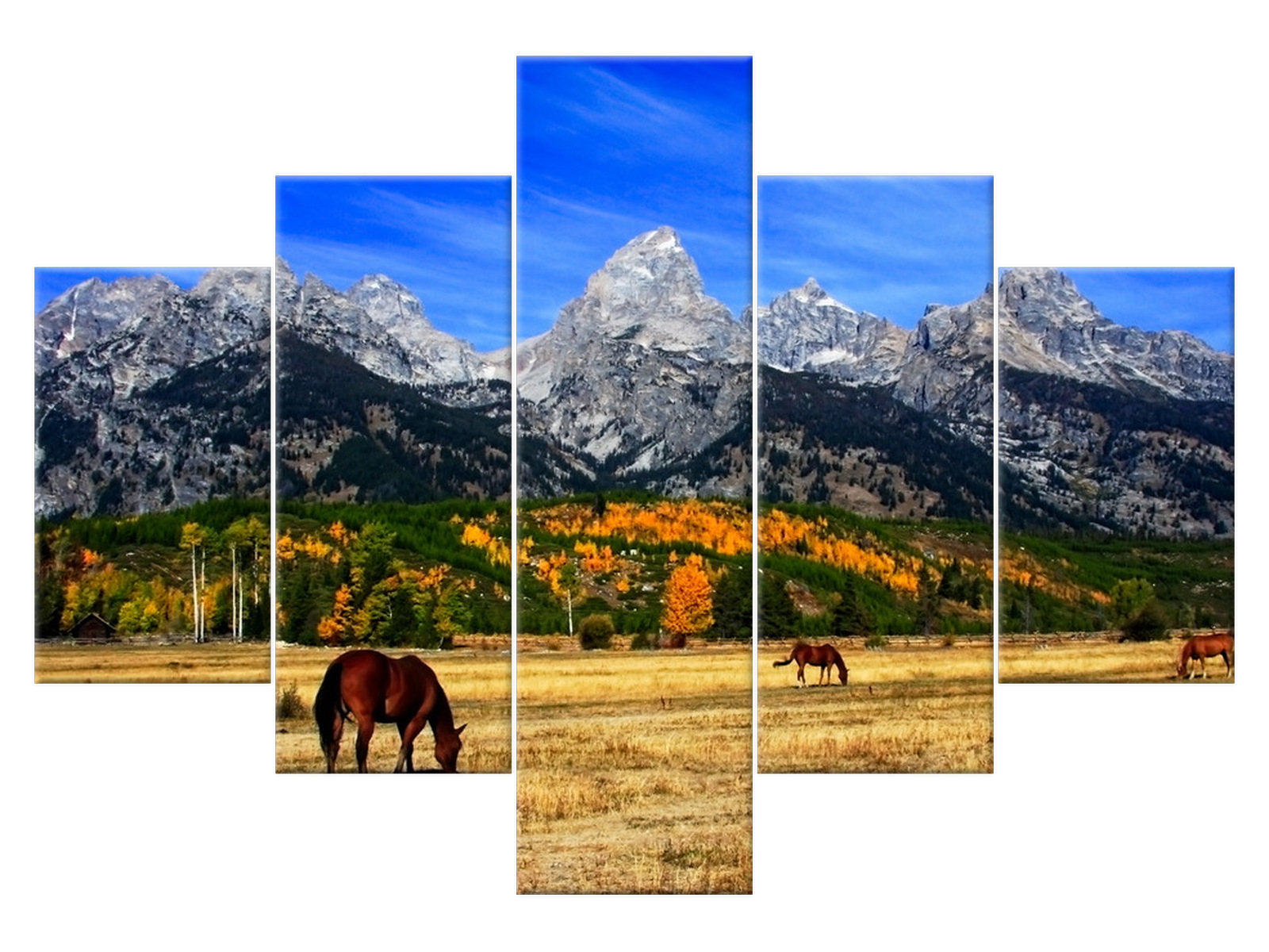 

Obraz Grand Teton - fortherock 100x70 1670A_5A