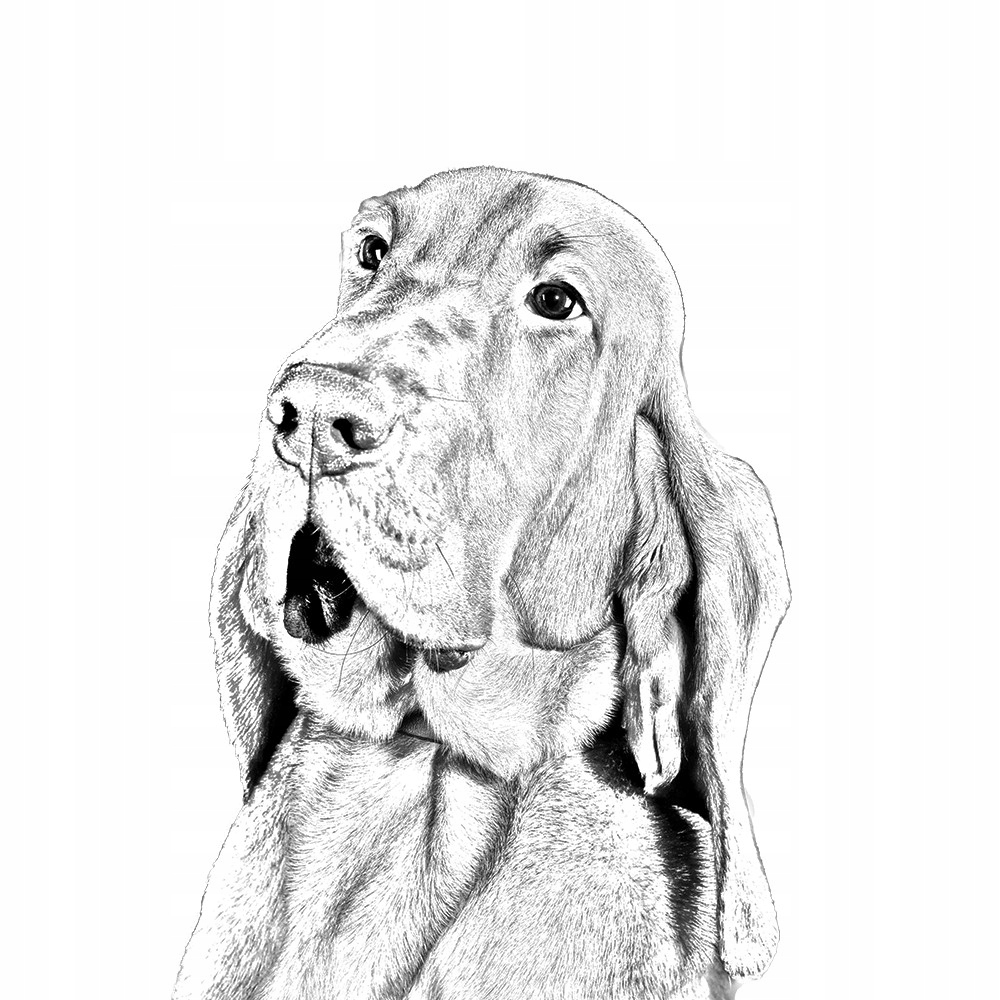 Pies św. Huberta Spinka do krawata łańcuszek Materiał inny