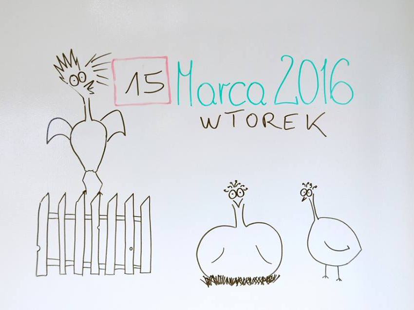 FARBA TABLICOWA do markerów suchościeralna 1 l Marka Dothee