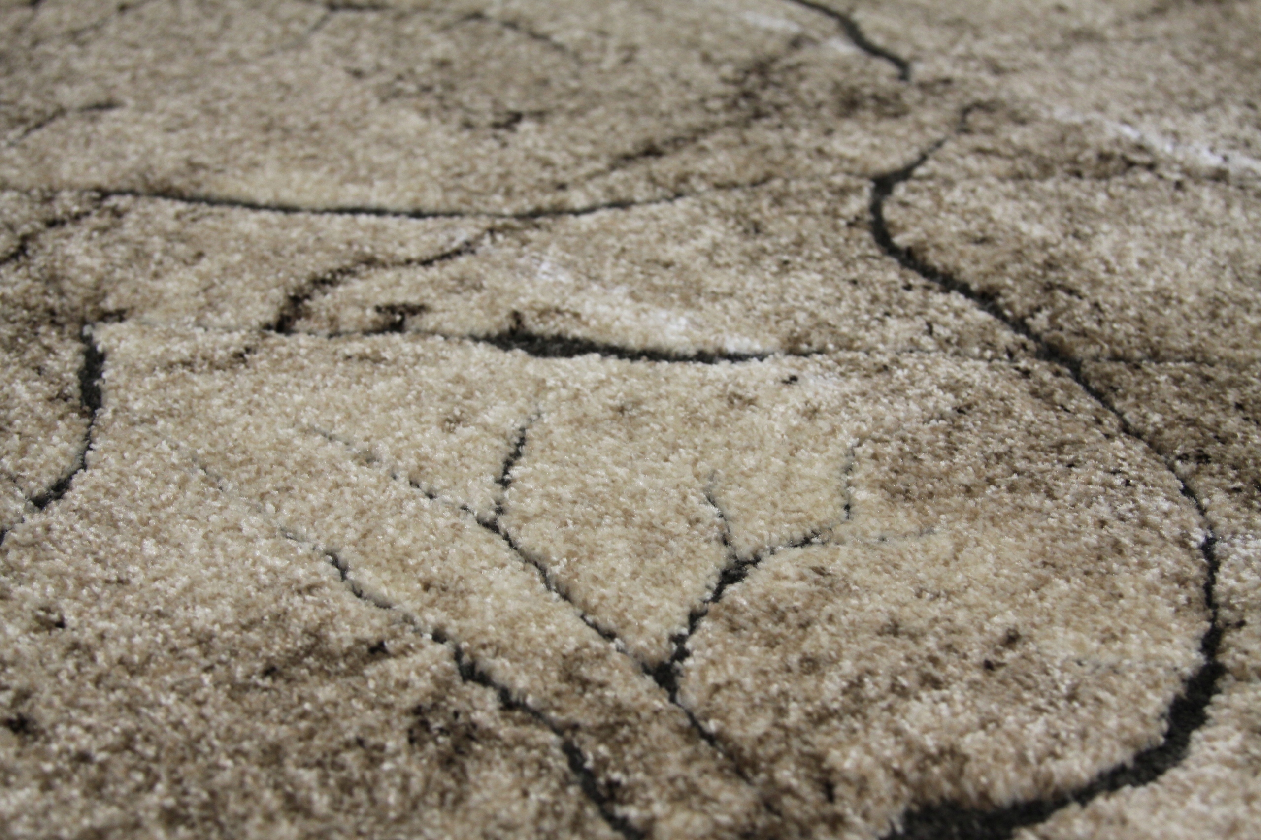 Dywan 300x500 3x5 praktyczny miękki mocny MODNY Kod producenta 0129 VIZON PIEŃ DRZEWA MIAMI  HIT