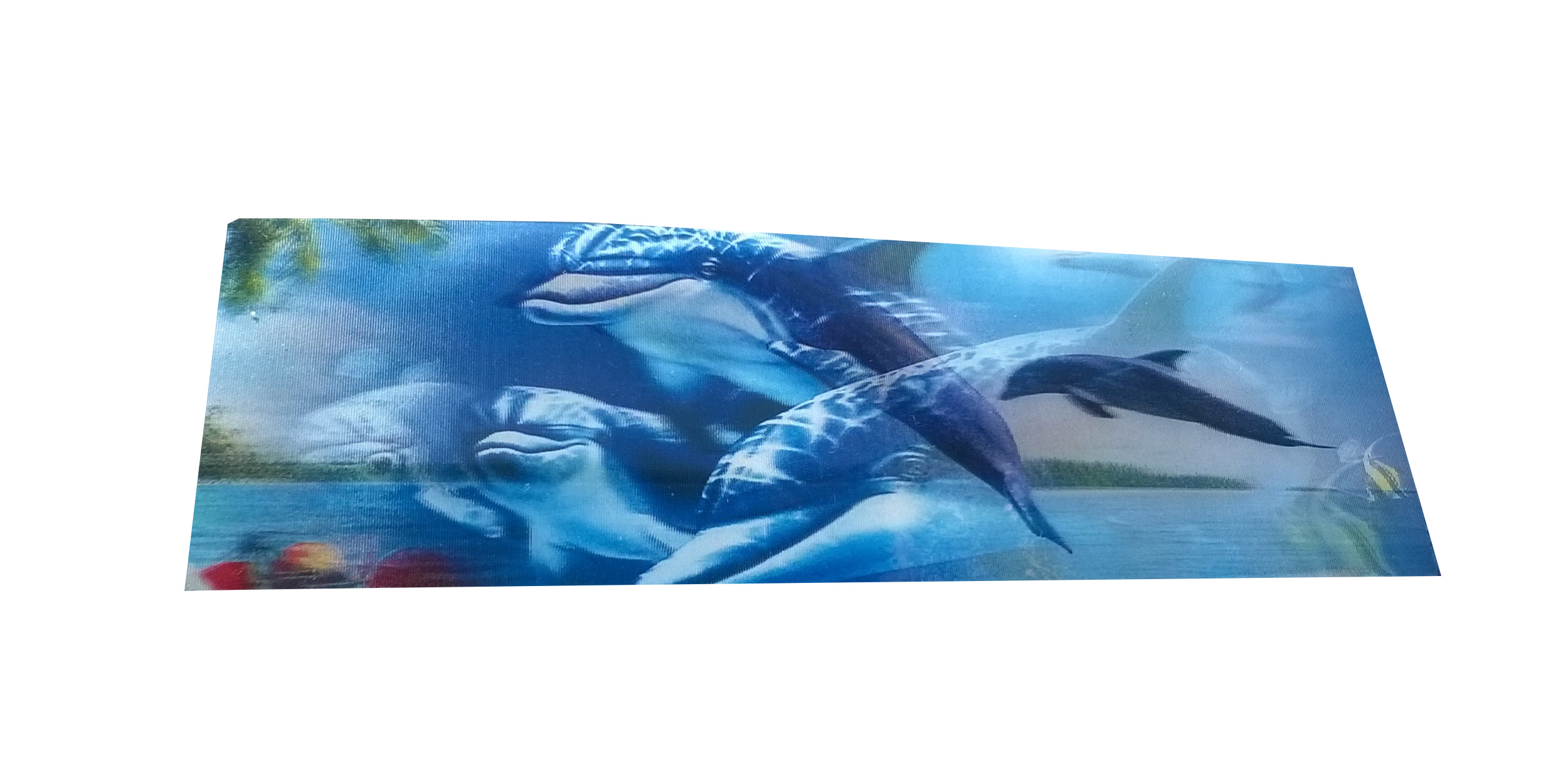 Zakładki Zakładka 3D Delfiny Morze Rafa 3 D 5 15