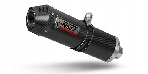 B.008.LEC - Mivv Овальний вуглець для BMW F800 R глушник