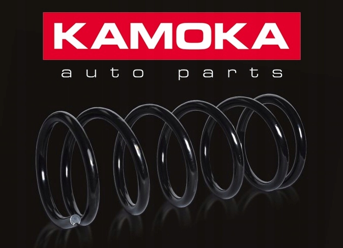 SPRĘŻYNY ZAWIESZENIA 2x TYŁ do RENAULT SCENIC II Typ samochodu Samochody dostawcze