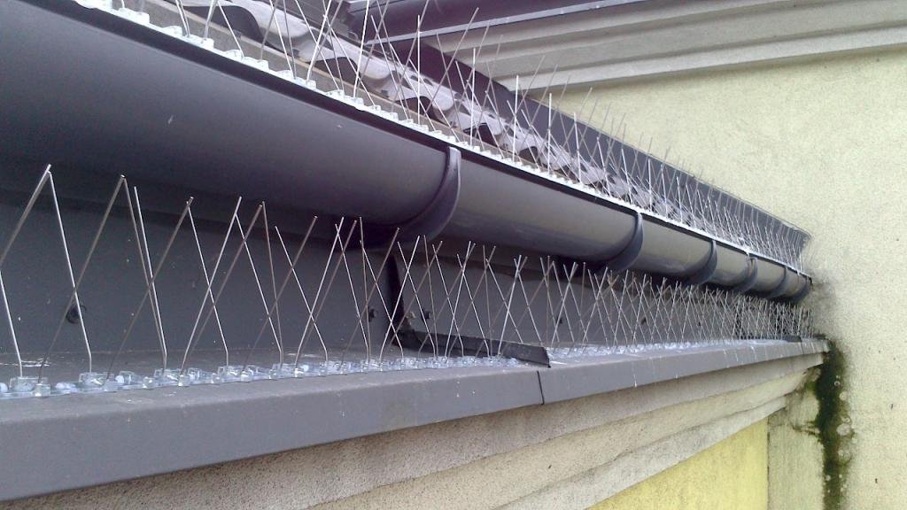 KOLCE NA PTAKI GOŁĘBIE NIERDZEWNE UNIWERSALNE 3-RZĘDOWE DŁ. 50cm PRODUCENT Rodzaj kolce
