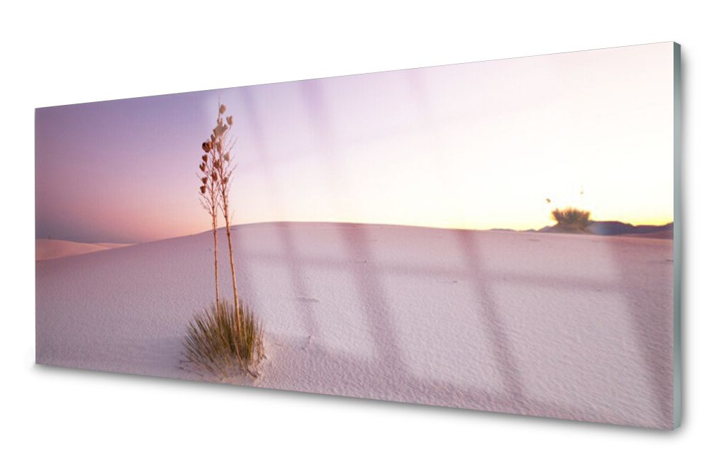 

Lacobel Panel Ścienny Foto Pustynia Piasek 120x60