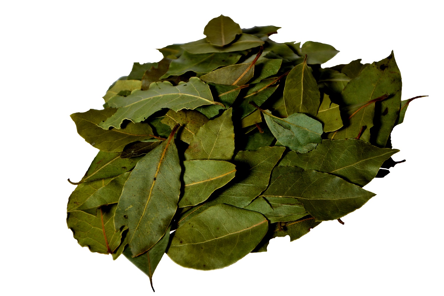 LIŚCIE LAUROWE liść laurowy 100g całe klasa 1