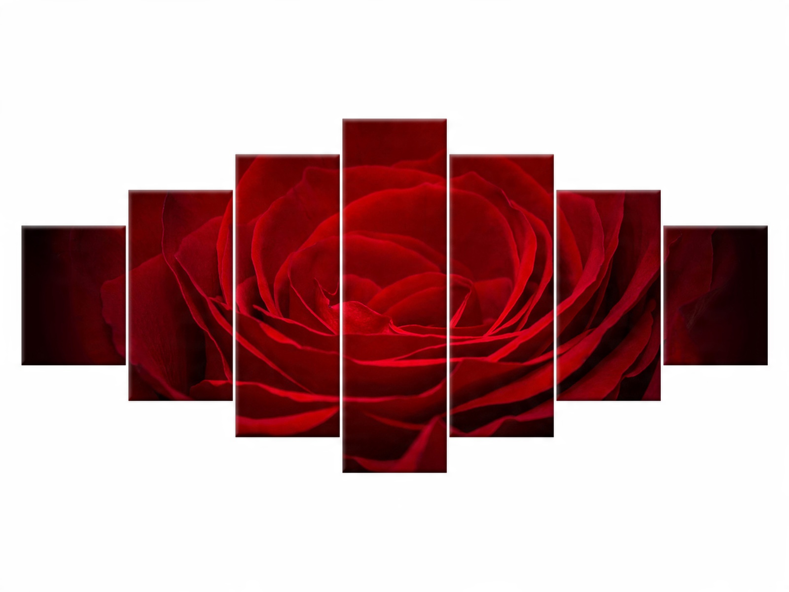

Obraz Róża dla ukochanej 210x100 Rośliny 2394A_7A