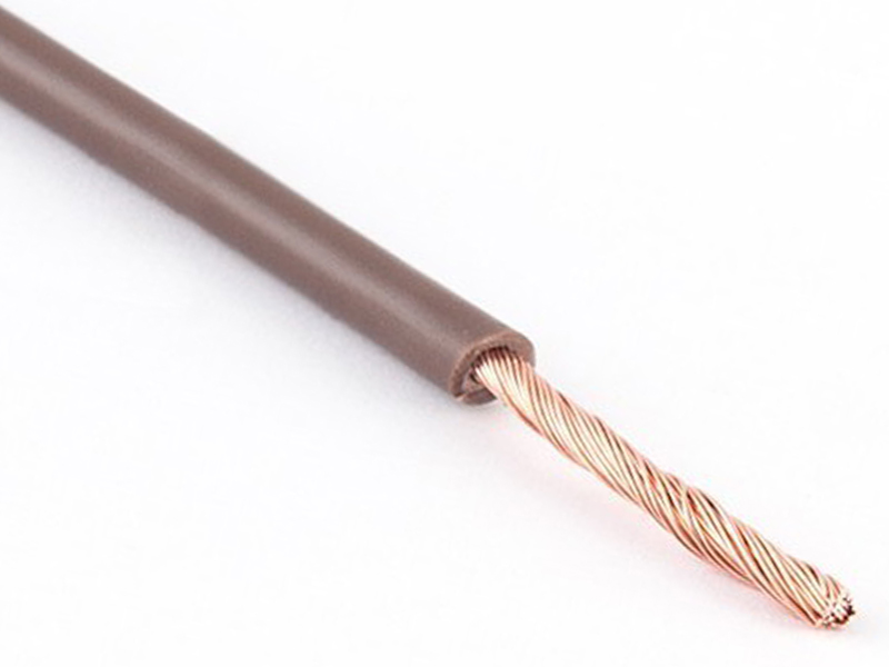 

Przewód LgY 1x2,5 H07V-K 450/750V Brąz 10m 186173