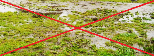 RURA DRENARSKA Z OTWORAMI DREN fi 100 50 mb Marka Plast