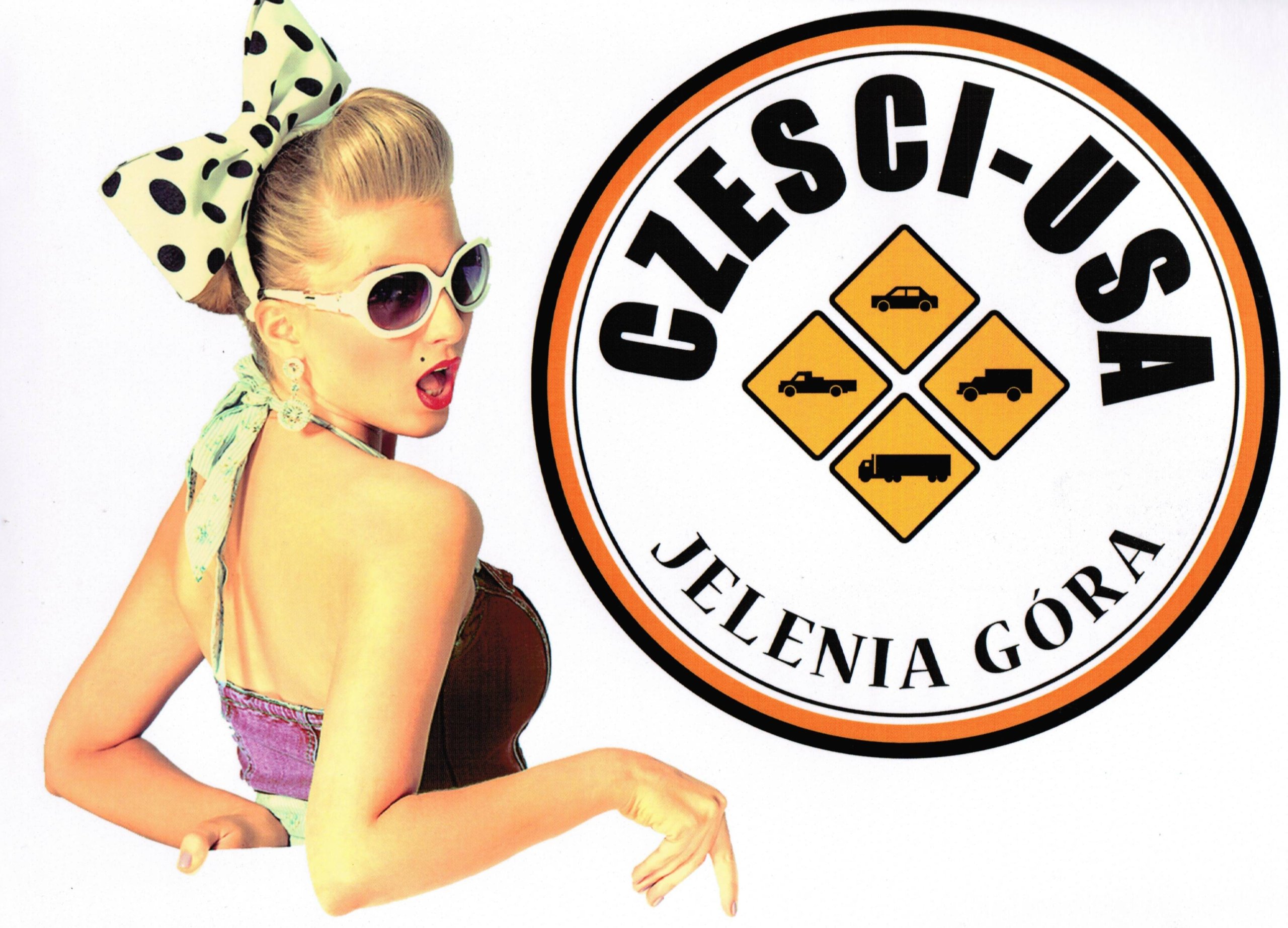 USZCZELNIACZ REDUKTORA PACIFICA AVENGER JOURNEY Part manufacturer Precision