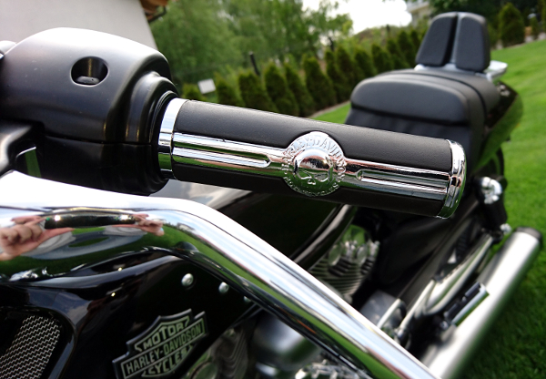 VS-25 - HARLEY DAVIDSON V-ROD VRSC ЧЕРЕП ПЕРЕКЛЮЧАТЕЛИ 100% HD