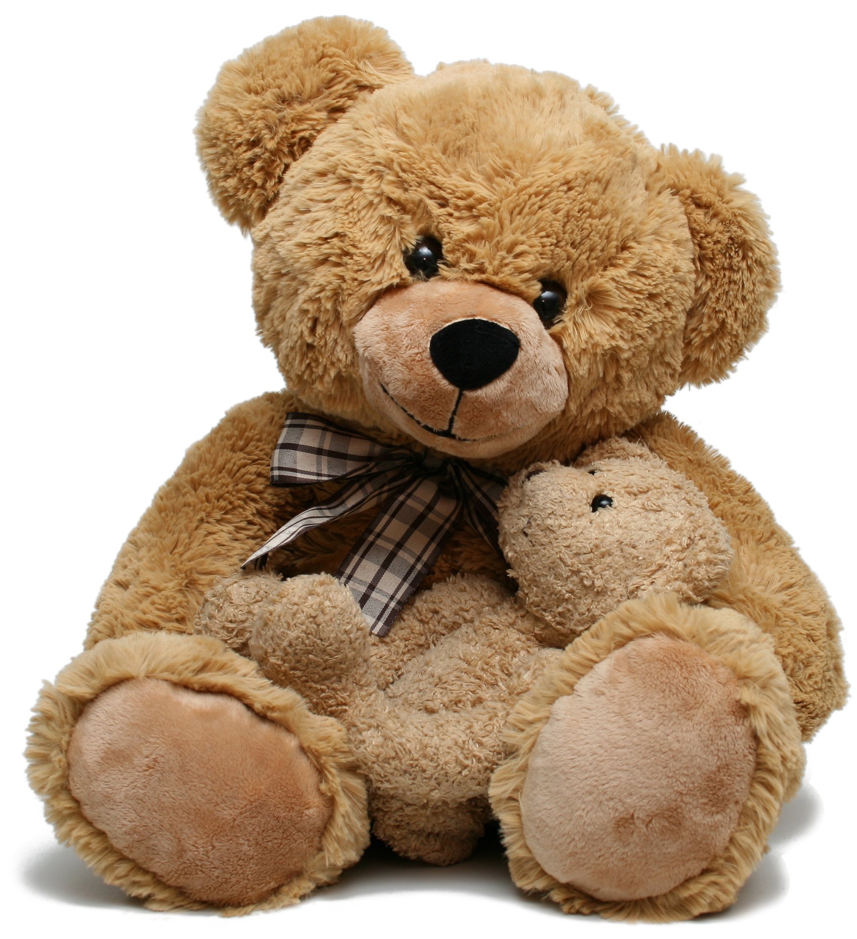 Плюшевый медведь картинки. Тедди Беар. Мишки Тедди Беар. Мягкая игрушка Тедди Беар. Мишка Teddy Беар.