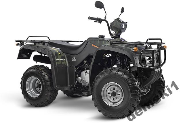 karter ATV250 QUAD BS250S-5 ROMET PUMA FG-300202-0 za 100 z Ostrów wlkp - Allegro.pl - (6694986082)