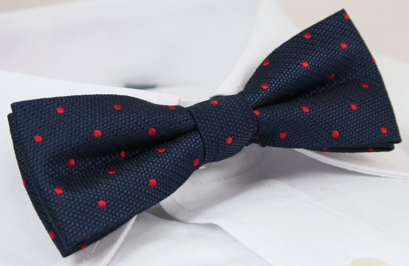 Elegancka mucha z poszetką Alties Marka inna