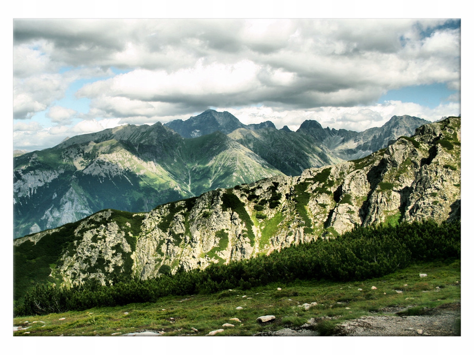 

Obraz na płótnie Pejzaż Tatry 70x50 Las drukowany