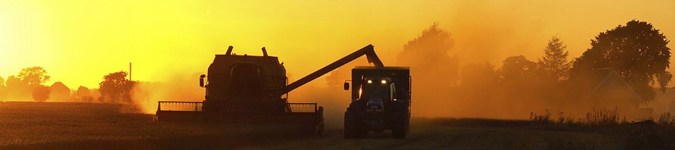 Lancuch84018674 - ЦЕПЬ ЗЕРНА НОВОЙ ГОЛЛАНДИИ ОРИГИНАЛ 84018674