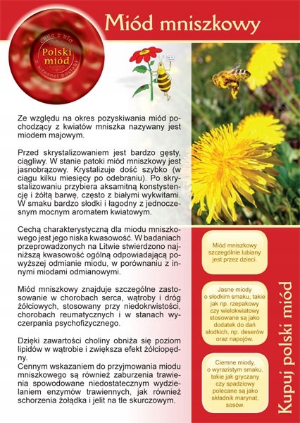 

Broszurka informacyjna- Miód mniszkowy (20szt) U11