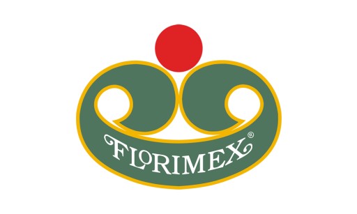 NADKOLE NADKOLA TOYOTA RAV4 2000-2006 PRZÓD LEWE Strona zabudowy przednie lewe