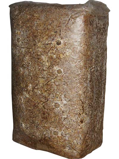 грибниця глива BALOT 15kg Марка Planto