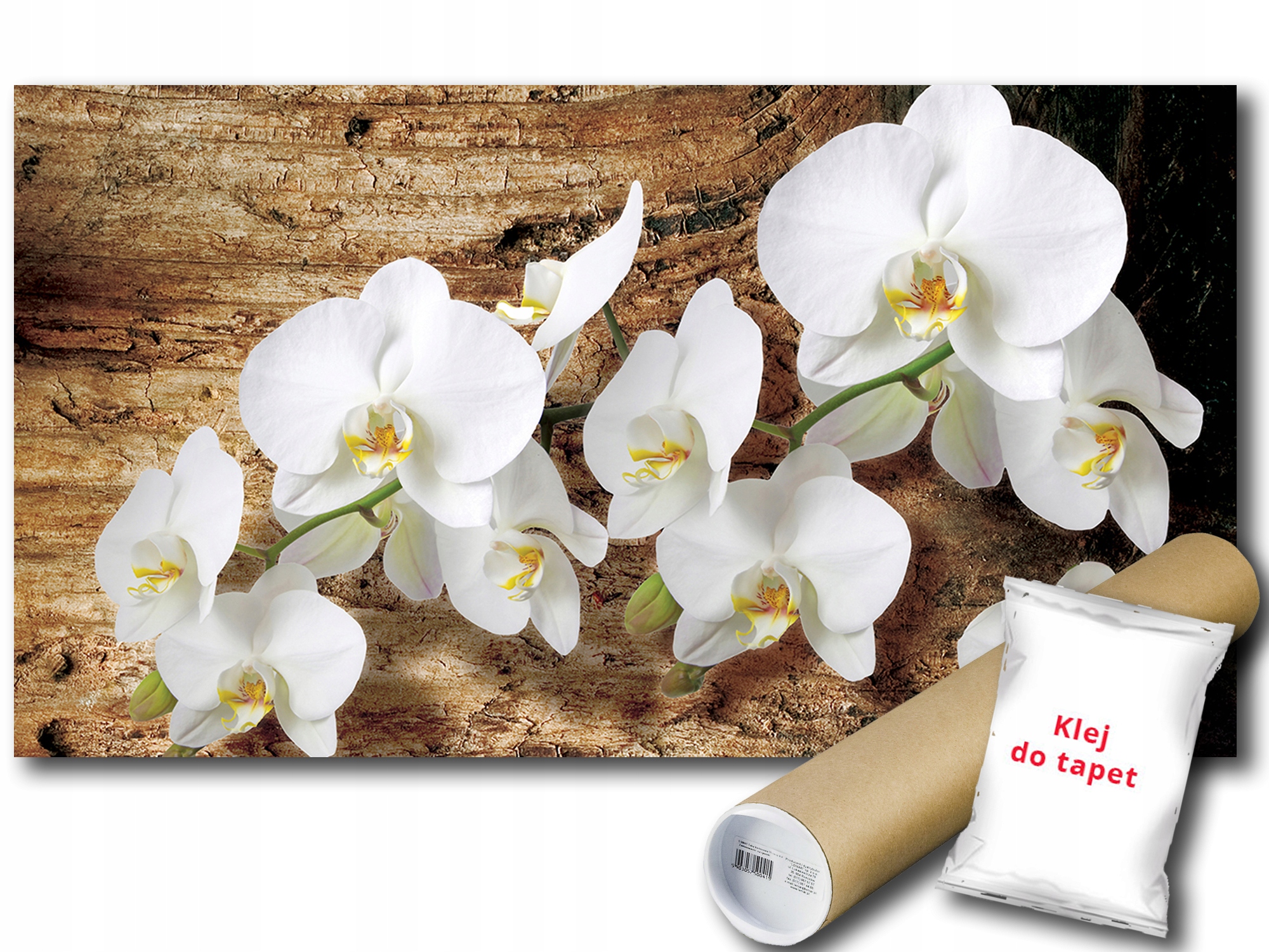 Fototapeta Orchidea Kvety 9D F3XL 416x254 F1017