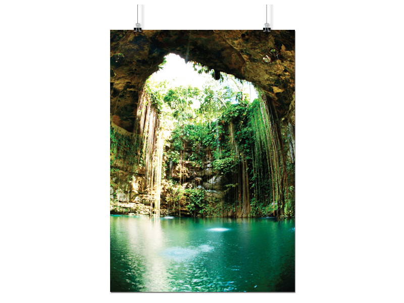 

Plakat Dżungla Las 50x70 CM 16 Wzorów Matowy