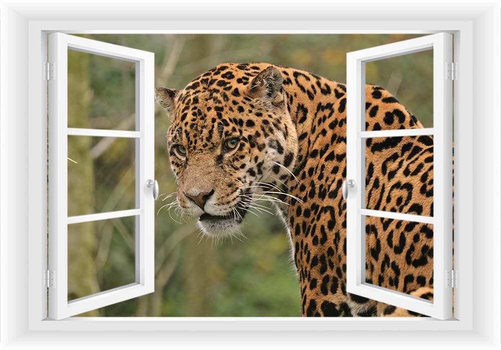 

Fototapeta Okno 3D Lwy Tygrysy Zwierzęta 150x100