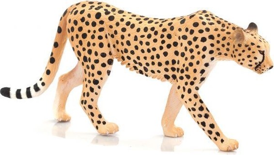 

Animal Planet gepard grzywiasty samiec 387197 24h