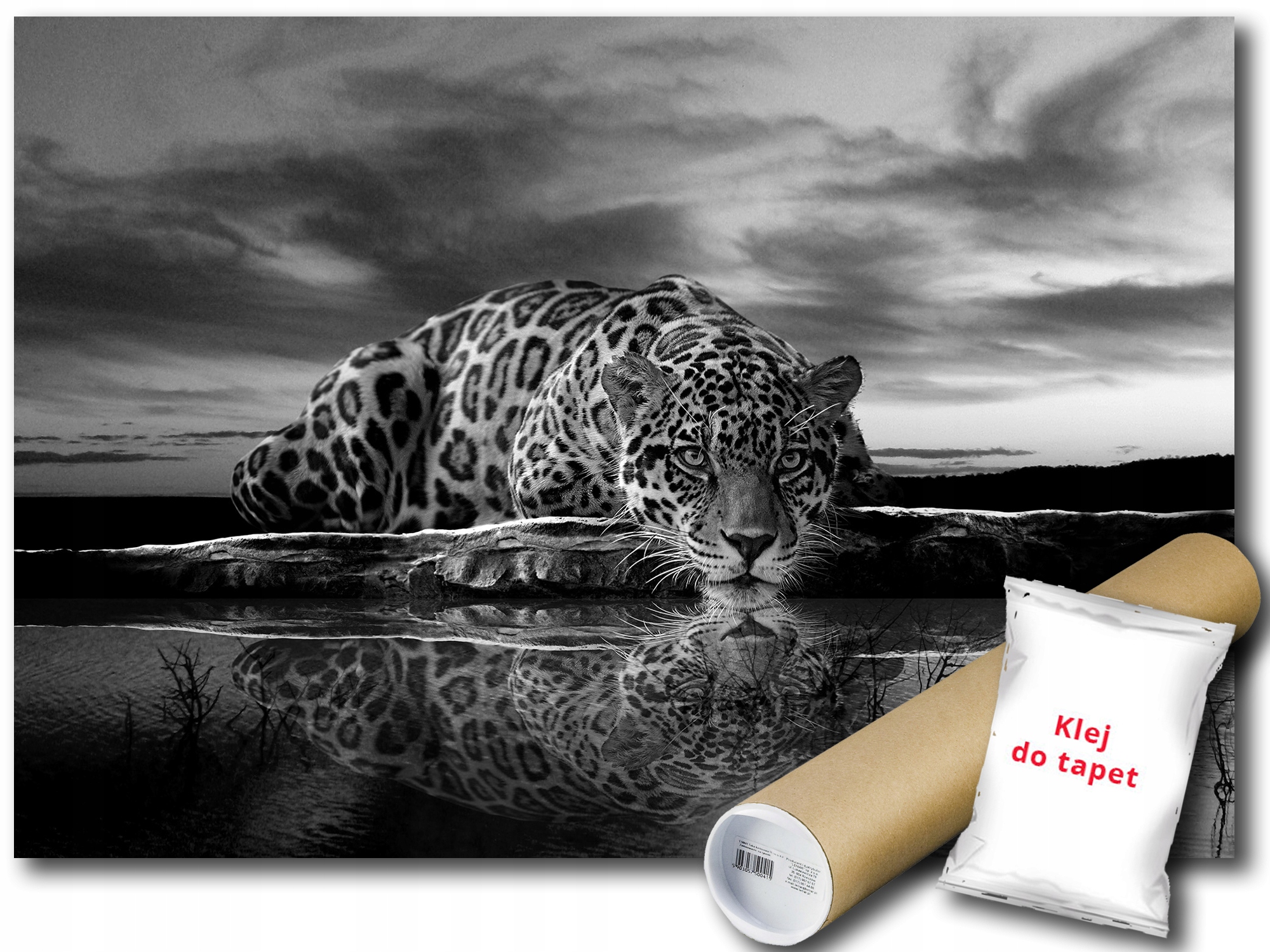 Fototapeta Zvieratko Gepard 12C F2XL 312x219 F218