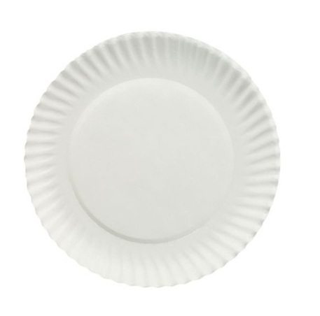 

Talerz Papierowy jednorazowy 21cm Grillowe 100szt