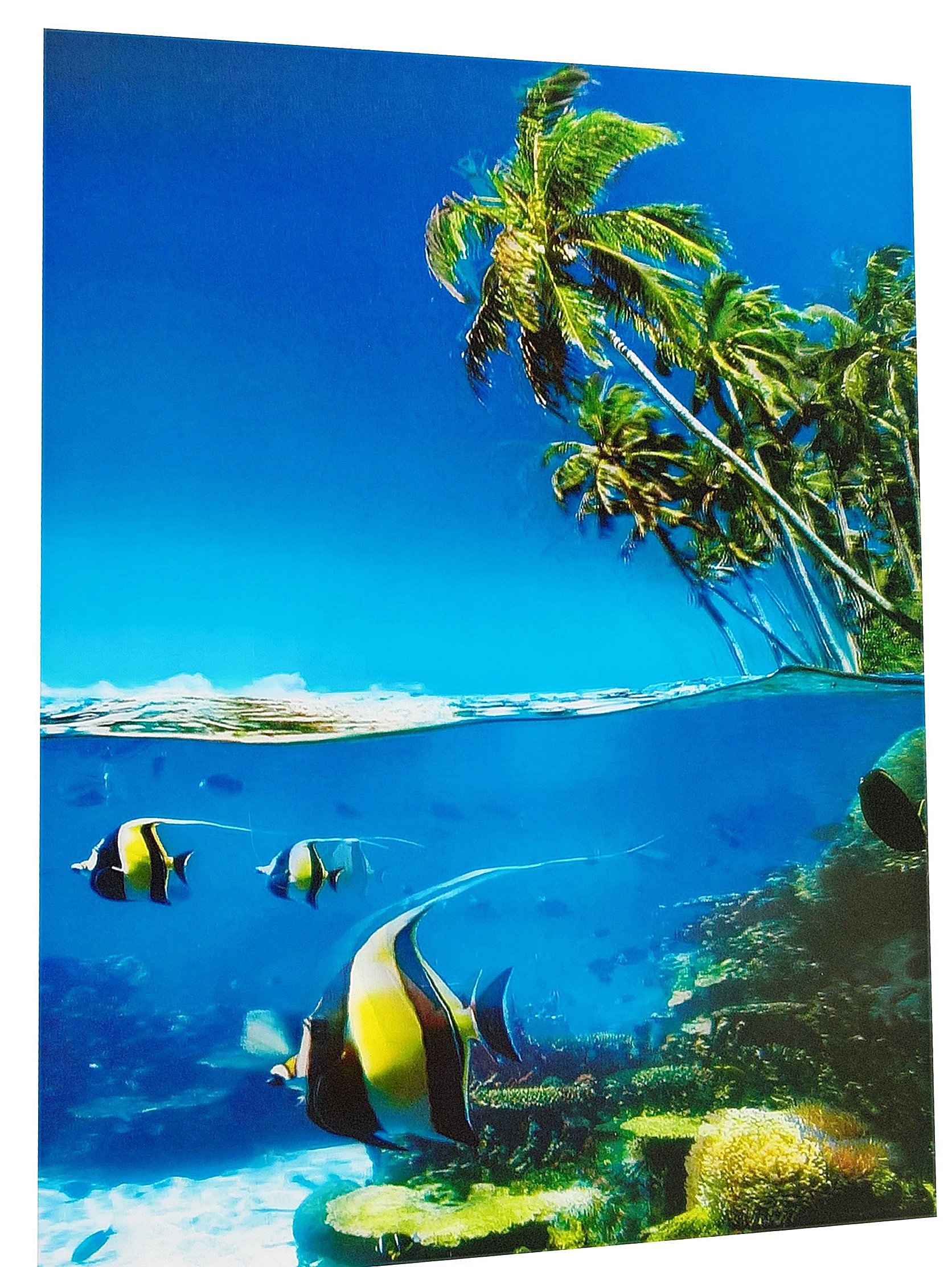 

Obrazek 3D Obrazki Obraz Ocean Rafa Ryby 3D 30 40