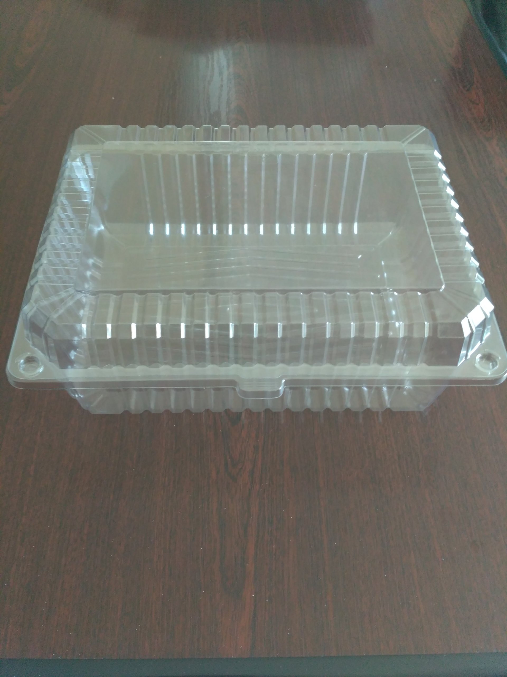 

Pojemnik na ciasto faworki plastikowy 22cmx13cm