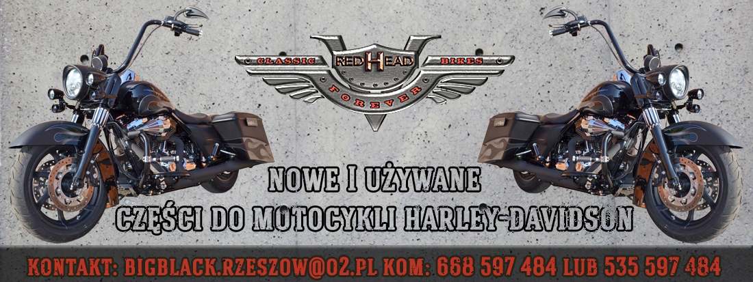 L12-6024CE - HARLEY SOFTAIL DYNA ЛАМПА ПОДСВЕТКА НОМЕРНОГО ЗНАКА