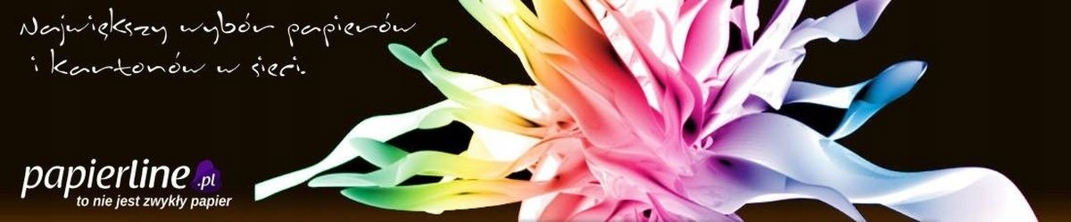 TEKTURA INTROLIGATORSKA MODELARSKA 2,50mm 70x100cm Marka inny