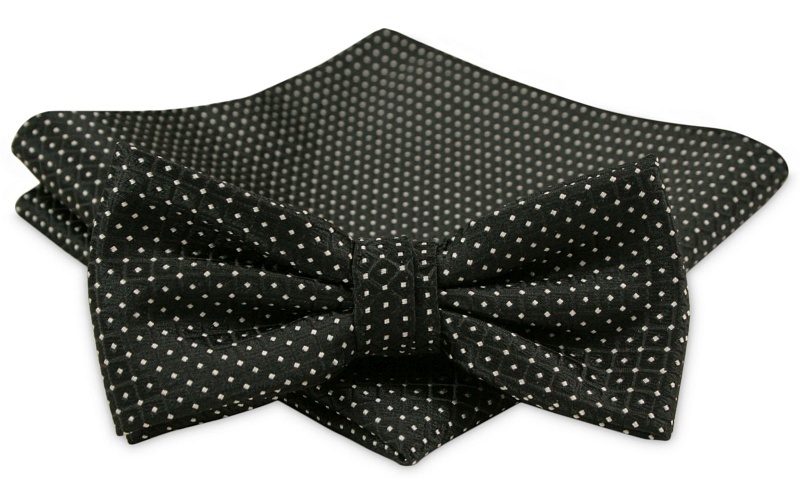 Modna mucha z poszetką - Alties