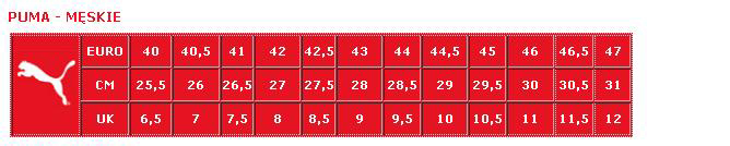 Buty męskie PUMA BMW MMS Neo Cat 307018 01 r.42 Kolor czarny