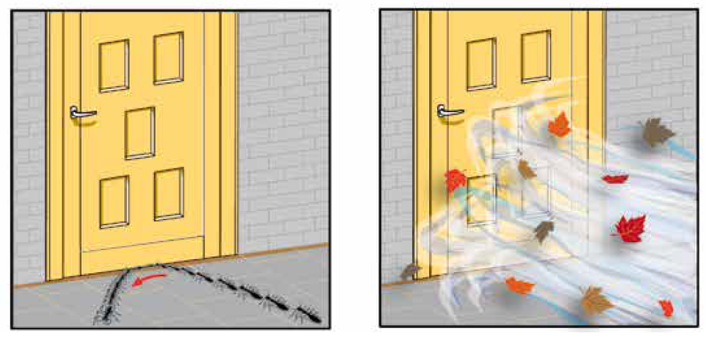 SZCZOTKA USZCZELNIAJĄCA DRZWI PROFIX H=55mm L=2m Marka Fapim