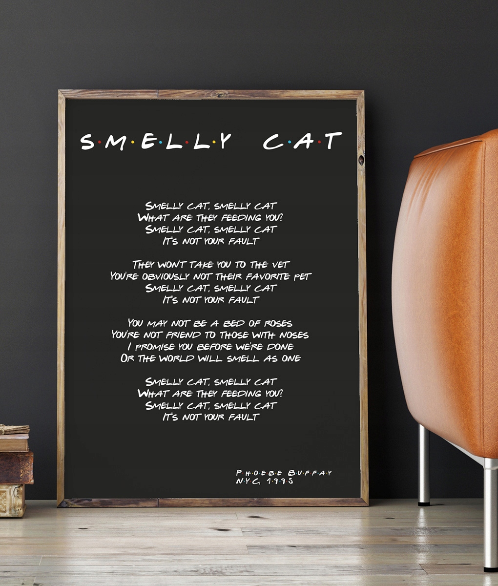 FRIENDS - plakat serial PRZYJACIELE A4 SMELLY CAT Marka Stencils