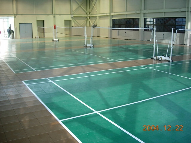 SPEED SPORT COURT BOISKO DO PIŁKI RĘCZNEJ POD DOM Model SPEED sport Court