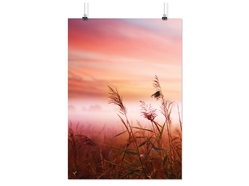 

Plakat Pole Krajobraz 100x130 CM 16 Wzorów Matowy