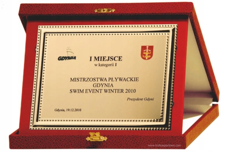 Diplom Poděkování Ozdobný certifikát Aluminiová Patera elegantní pouzdro