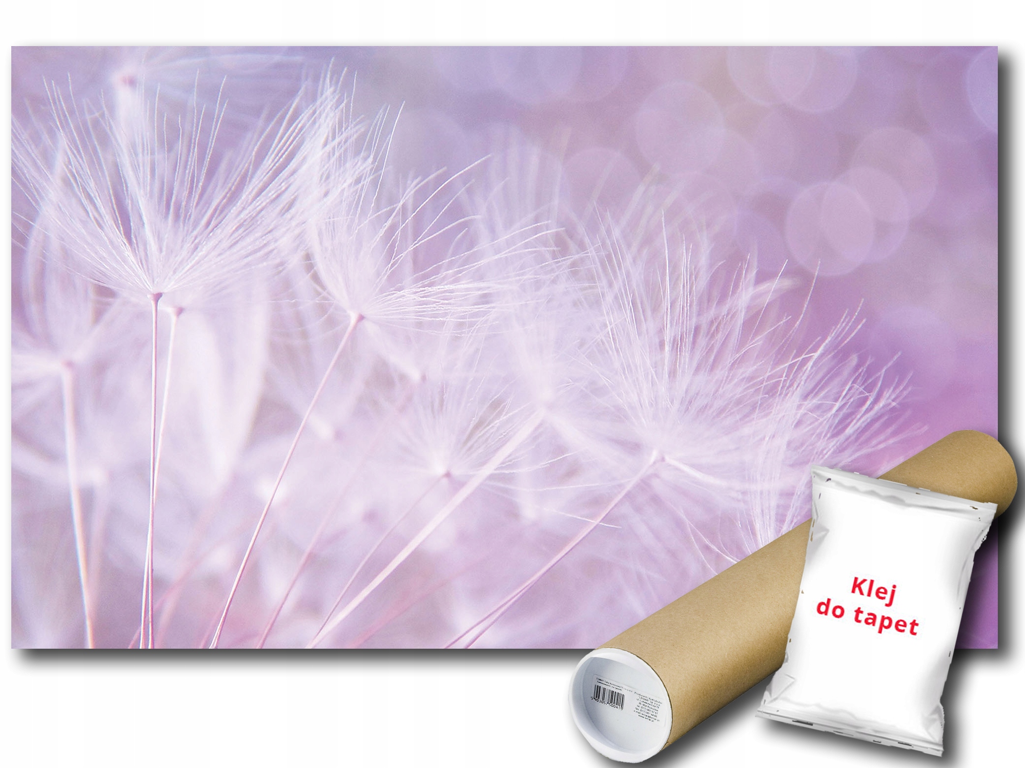 Fototapeta Fúkače 9A F2XL 312x219 F12555