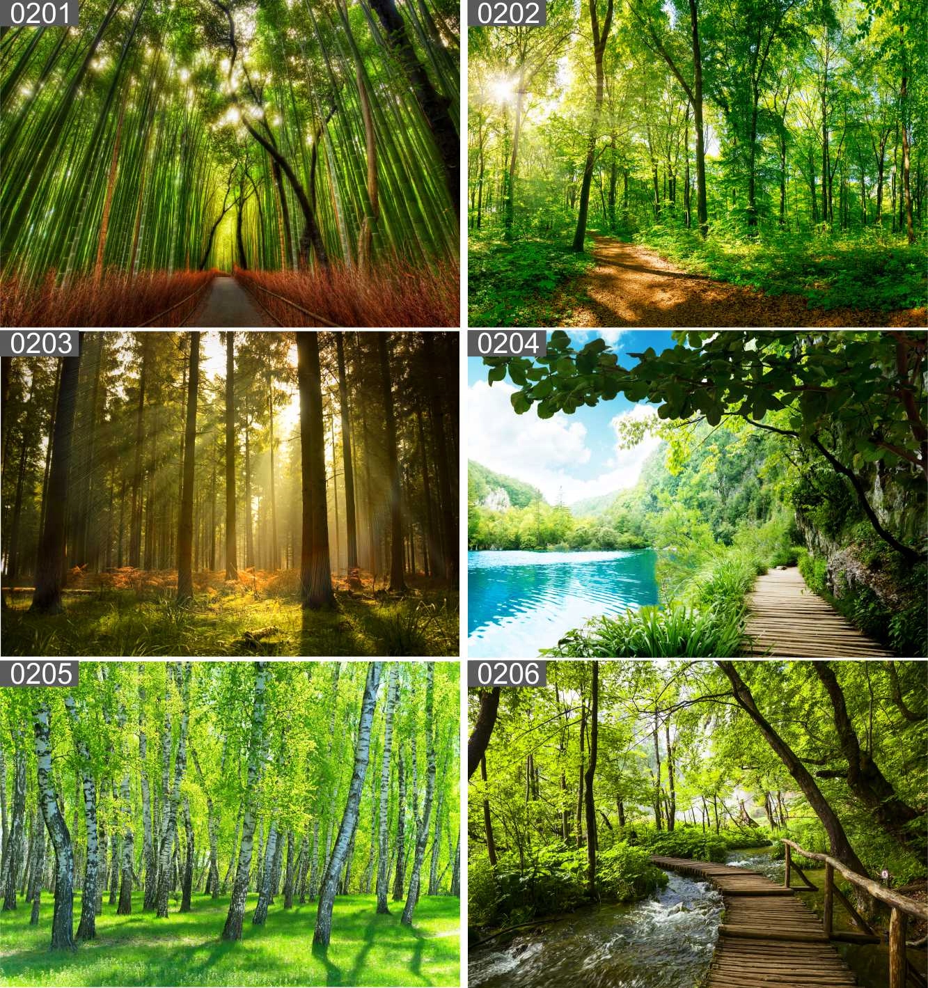 PLAKAT POSTER LAS NATURA MGŁA 70x50 MAX WYBÓR Nazwa PLAKAT POSTER LAS NATURA MGŁA 70x50