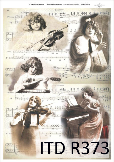 Papier Ryżowy R0373 z włoskami A4 decoupage