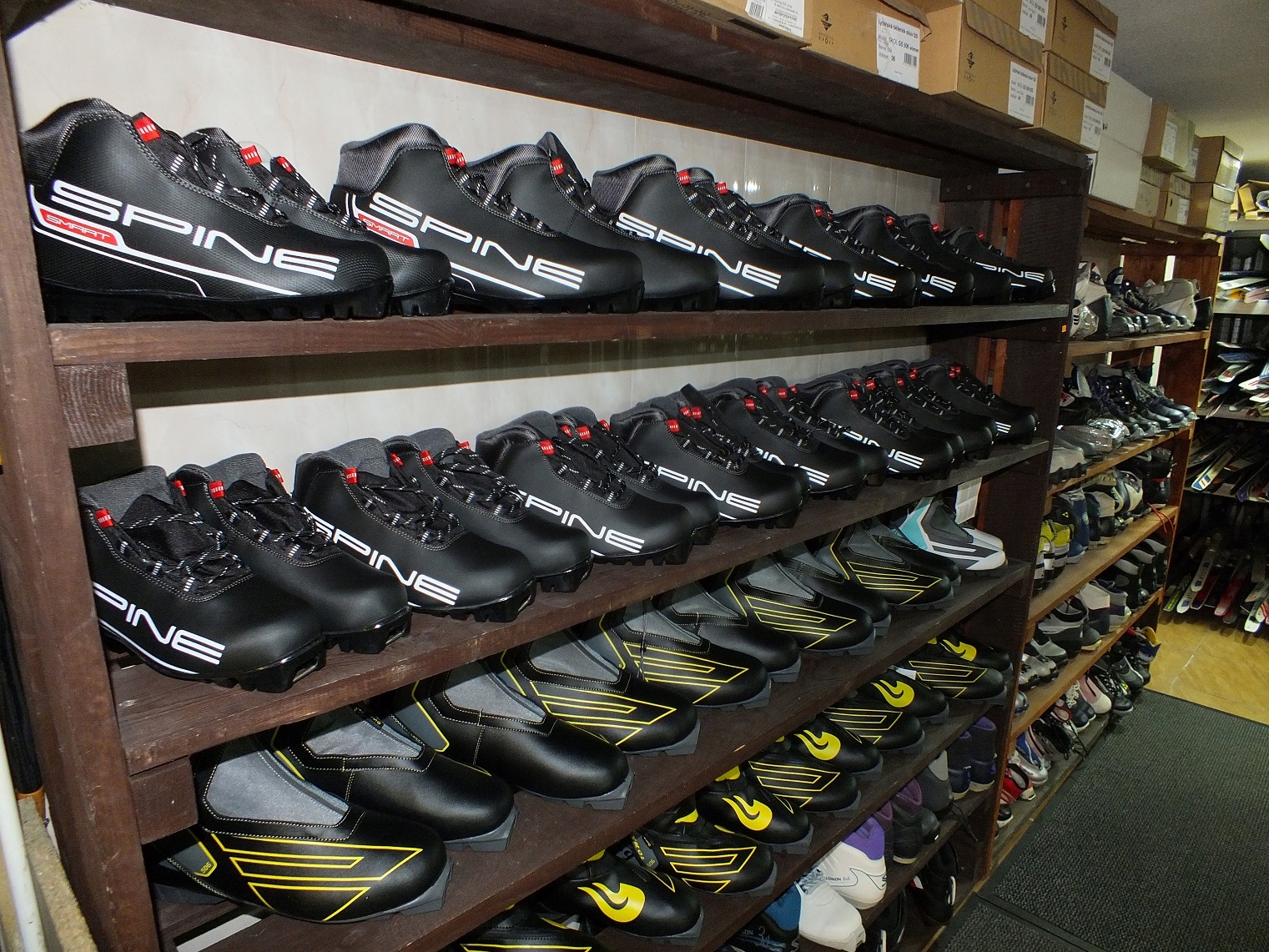 NARTY BIEGOWE ŚLADOWE + NOWE BUTY +KIJKI KOMPLETY Model Narty biegowe