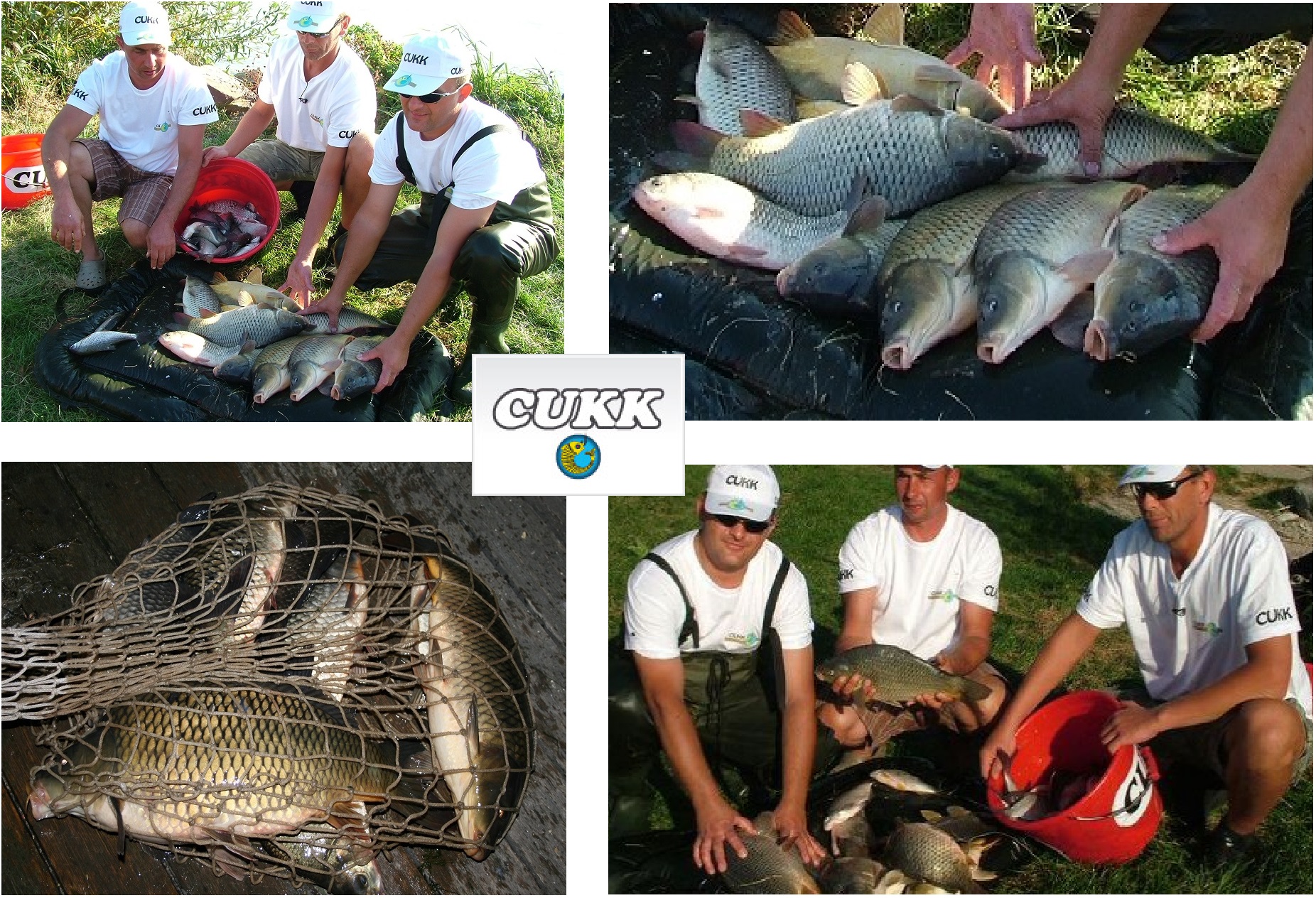 KOŃSKI ZĄB KUKURYDZA CUKK GOLIATH 125 gr OWOCOWA Kod producenta 5997152100632