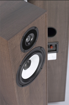 Pylon Audio Pearl 20 | Kolumny Podłogowe Model Pearl 20