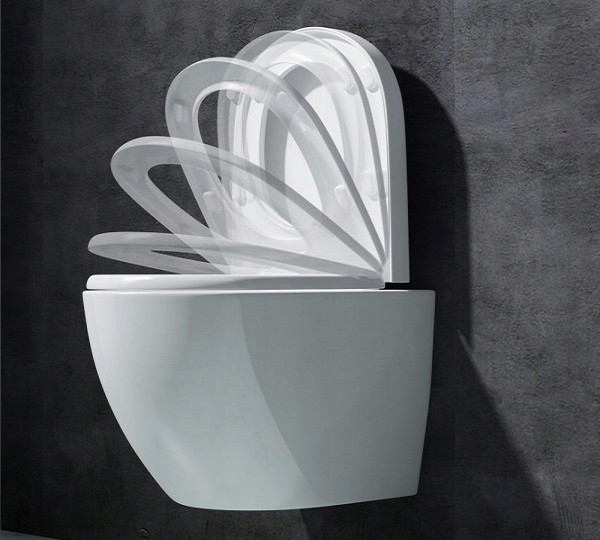 MISA WC VERA RIMLESS 49CM + DESKA WOLNOOPADAJĄCA EAN (GTIN) 5905563806906