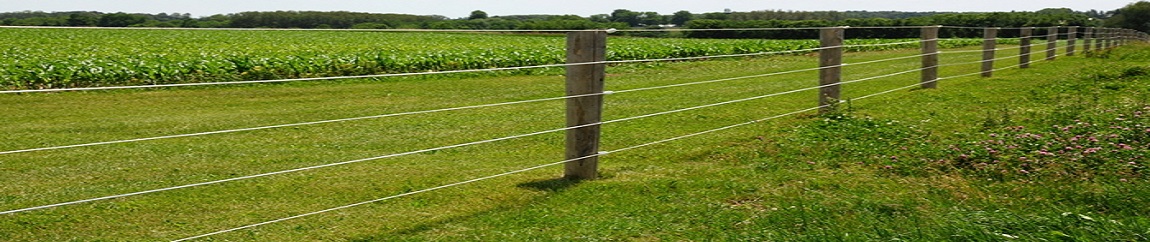 PASTUCH ELEKTRYCZNY POLSKI ELEKTRYZATOR UNIWERSALNY 9/12/230V REDYK AB200 Stan opakowania oryginalne