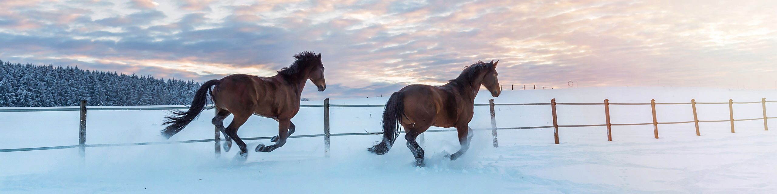 Puzdro na karty Kožené Wild Horse Tmavomodré Dominujúca farba viacfarebná